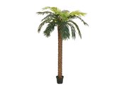 EUROPALMS Phoenix palm deluxe - Kunstplant - 300cm