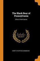 The Black Bear of Pennsylvania