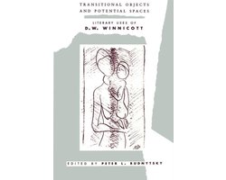 Transitional Objects and Potential Spaces