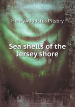 Sea shells of the Jersey shore