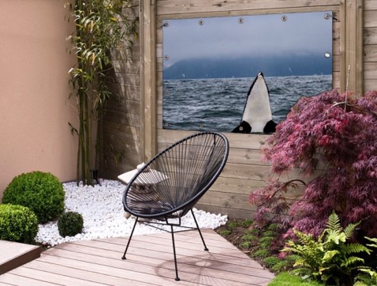 Poster Jardin orque au-dessus de l'eau 60x40 cm - petit - Toile de jardin / Toile d'extérieur / Peintures pour l'extérieur (décoration de jardin)