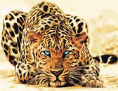 Schilderenopnummers.com® - Schilderen op nummer volwassenen - Luipaard - Panter - Panther