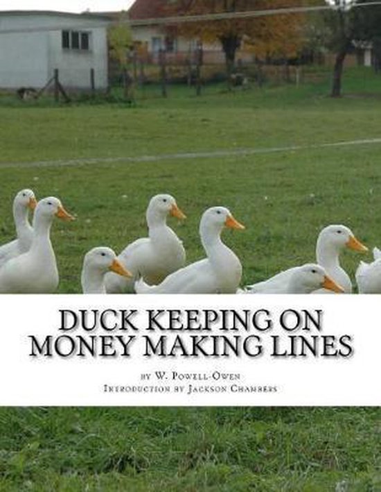 Duck Keeping on Money Making Lines - cover