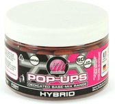 Mainline Mini Pop-Ups - Hybrid - 12mm - Oranje