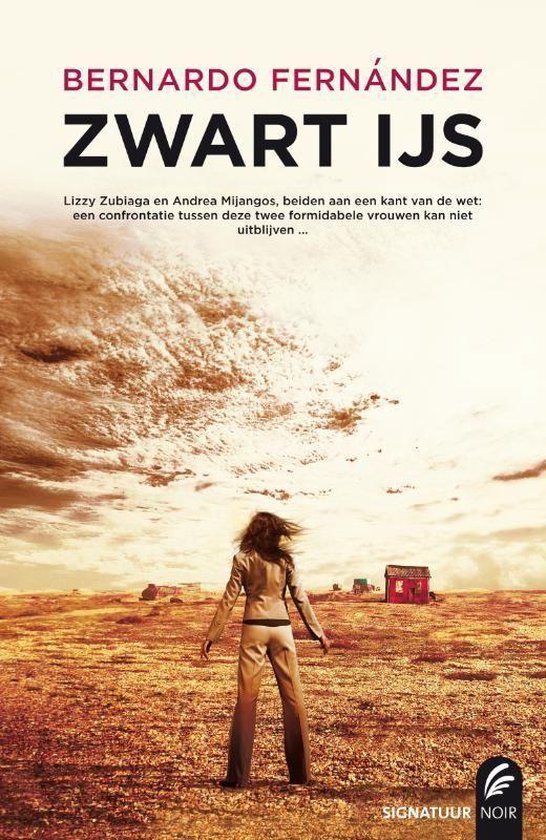 Cover van het boek 'Zwart ijs'