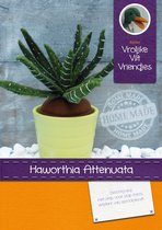 DIY wolvilt pakket: Vetplant Haworthia Attenuata