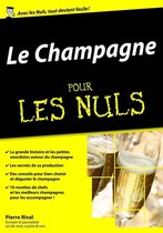 Le Champagne pour les Nuls Mégapoche
