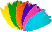 Grote veer/struisvogelveren paars 50 cm - Carnaval feestartikelen - Sierveren/decoratie veren - Charleston veer