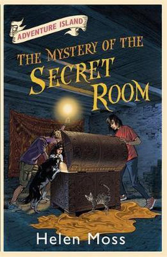 Adventure Island 13 Mystery Secret Room - cover