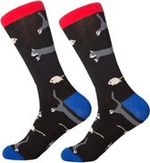 Sokken Heren zwart - print kat- muis - Maat 40-46
