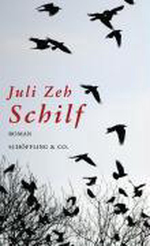 Livre 'Schilf' de Juli Zeb, avec des silhouettes d'oiseaux en vol sur un ciel clair.