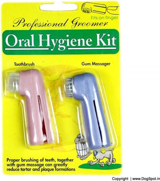 Oral Hygiene Kit