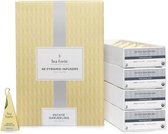Estate Darjeeling horeca doos met 48 piramides Tea Forté