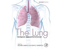 Lung