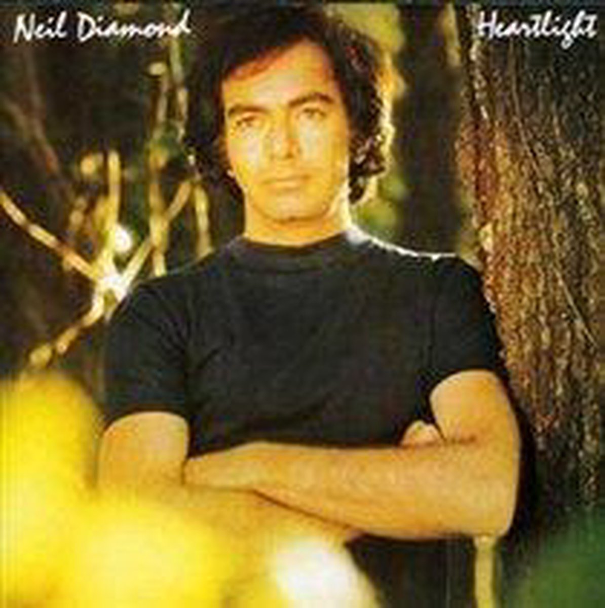 Heartlight