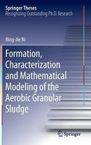 Formation, characterization and mathematical modeling of the aerobic granular sludge