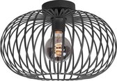Agila Plafondlamp 1 lichts d:40cm zwart - Modern - Freelight