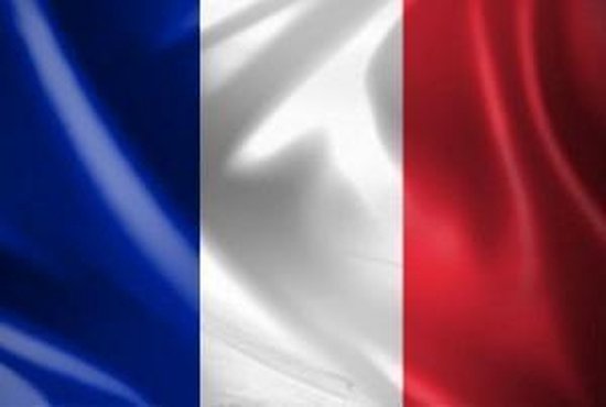 Vlag Frankrijk | bol