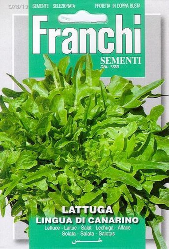 Franchi - Lattuga Lingua Di Canarino - Kropsla Kleinbladig