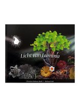 Licht van Lumina