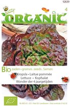 Buzzy® Organic Kropsla Wonder van 4 jaargetijden (BIO)