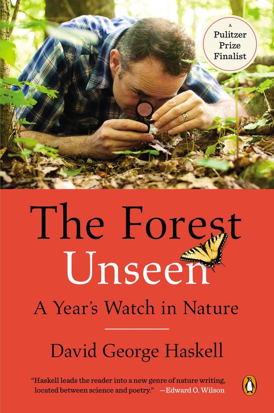The Forest Unseen - cover
