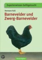 Barnevelder und Zwerg-Barnevelder