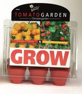 Buzzy® Tomato Garden Kweekset
