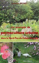 Un exemple de permaculture urbaine dans le Nord-Pas-de-Calais-Picardie