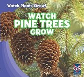 Watch Plants Grow!- Watch Pine Trees Grow
