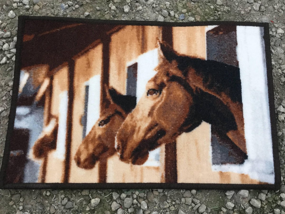 pols convergentie Bouwen Vloerkleed mat - tapijt 40 x 60 cm PAARDEN print | bol.com