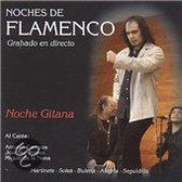 Various Artists - Noche Gitana. Noches De Flamenco (CD)