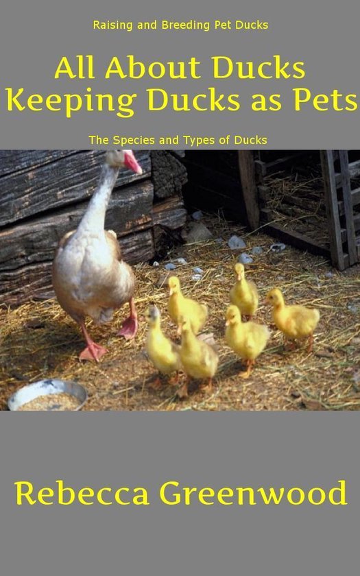 Een eend met vijf kuikens bij een houten schuur. De tekst luidt 'All About Ducks Keeping Ducks as Pets'.