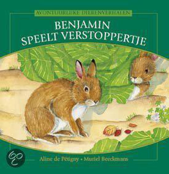 Cover van het boek 'Benjamin speelt verstoppertje'