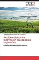 Accion Colectiva E Innovacion En Espacios Regionales