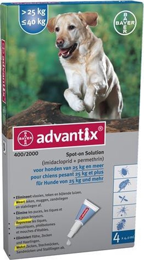 Junior Berri deze Bayer Advantix Vlooien & Teken Pipetten - Hond 25 tot 40kg - 4 stuks |  bol.com
