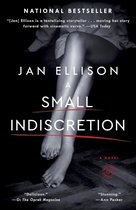 A Small Indiscretion