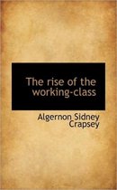 The Rise of the Working-Class