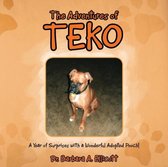 The Adventures of Teko