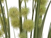 Europalms kunstplant gras Allium , 122cm