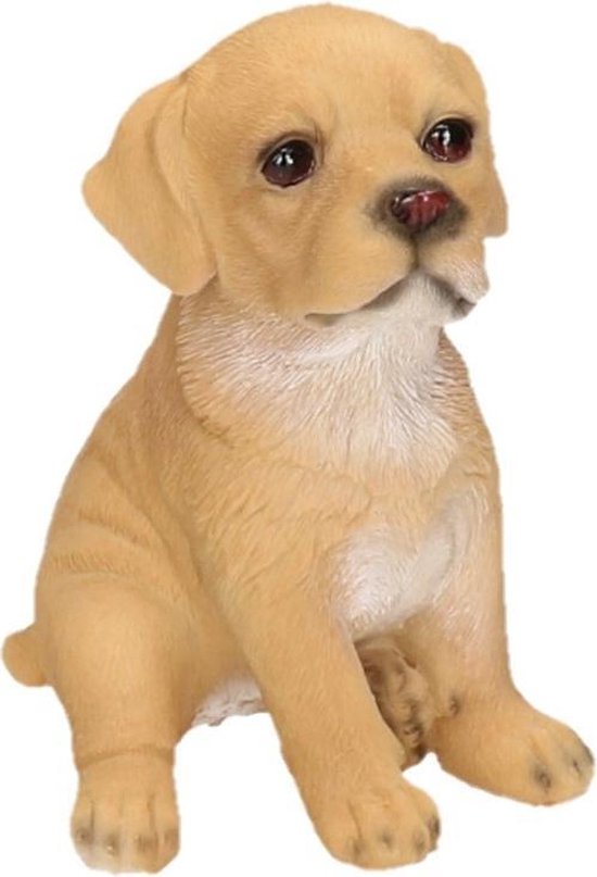 Dierenbeelden Labrador hond/puppy - Decoratie beeldje puppy beige 15 cm |  bol.com