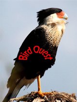 BIRD QUEST