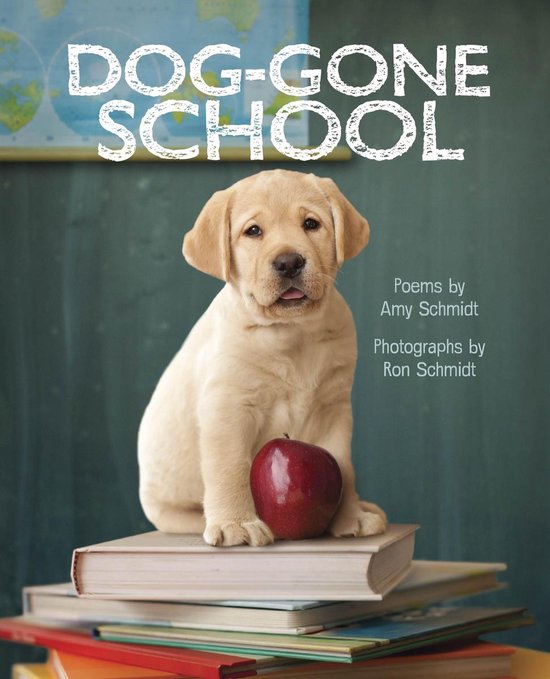 Dog-Gone School - cover