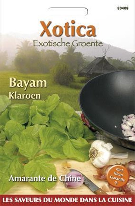 Bayam in english