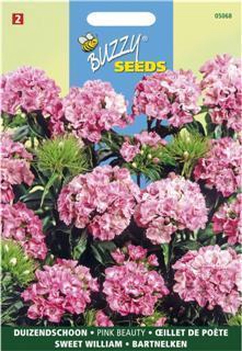 Duizendschoon Pink Beauty - Dianthus barbatus
