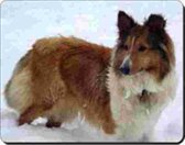 Shetland Sheepdog sneeuw Muismat