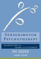 Sensorimotor Psychotherapy'