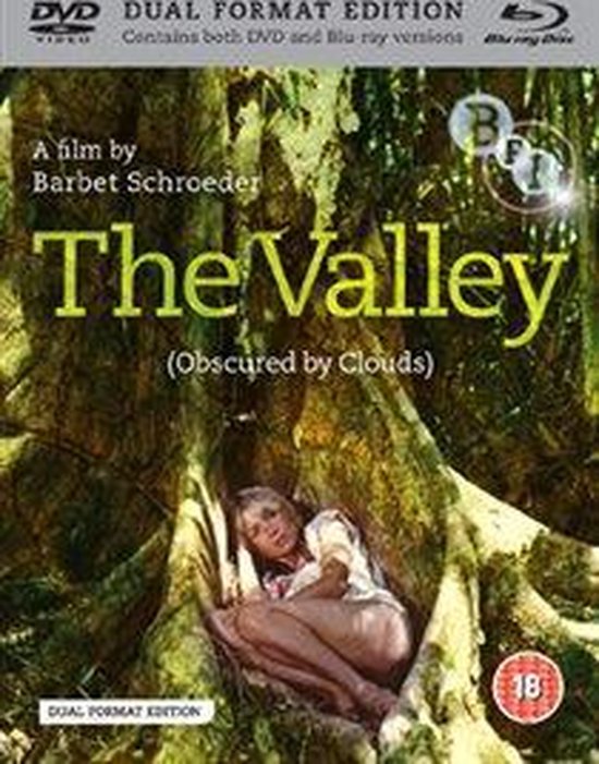 Cover van de film 'Valley'