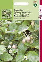 Hortitops Zaden - Aardbeien Yellow Cream