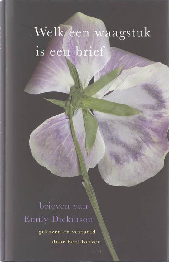 Boek kaft met grote lila bloem en tekst 'Welk een waagstuk is een brief'.
